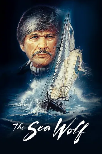 海狼海报