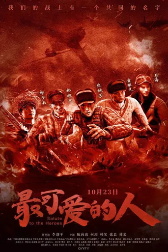 最可爱的人海报