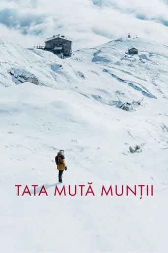 移山的父亲海报