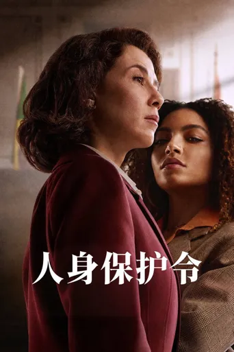 人身保护令海报