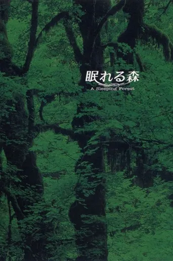 沉睡的森林海报