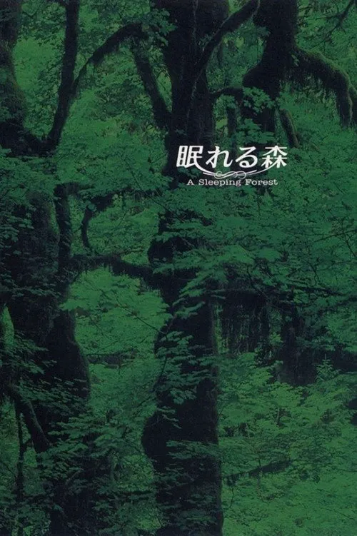 沉睡的森林海报
