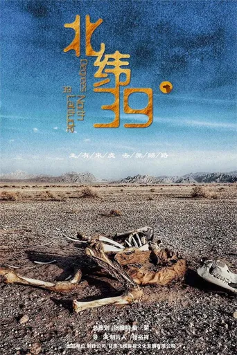 北纬39°海报