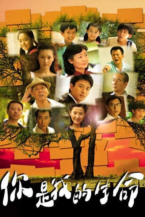 你是我的生命海报