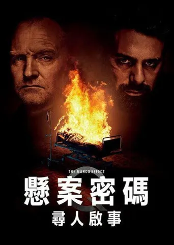 悬案密码5：马可效应海报