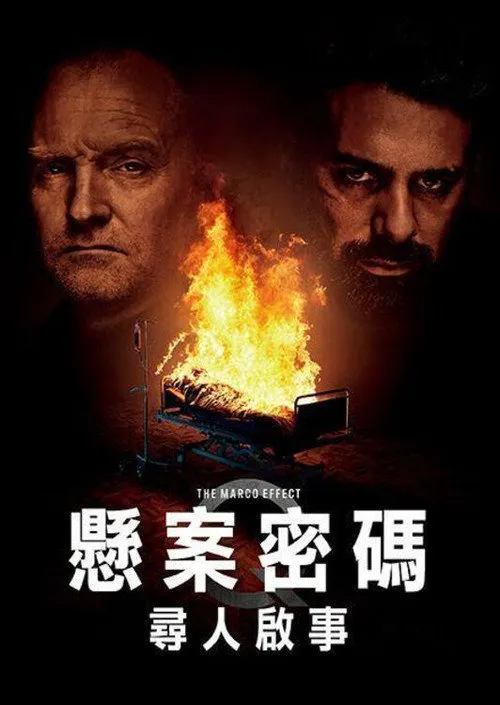 悬案密码5:马可效应海报