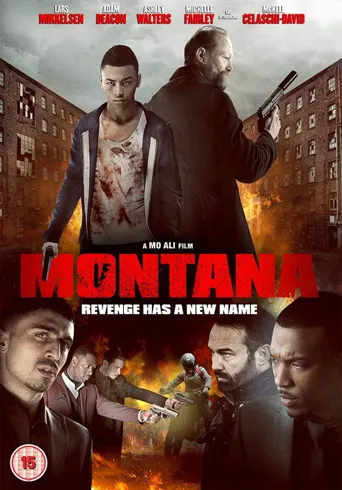 Montana海报