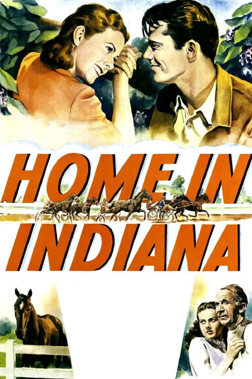 Home in Indiana海报