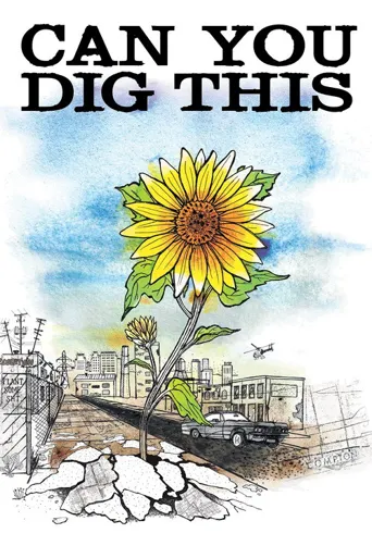 Can You Dig This海报