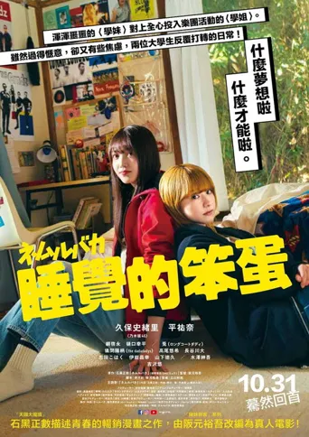 睡觉的笨蛋海报