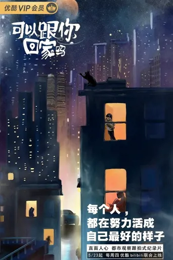 可以跟你回家吗海报