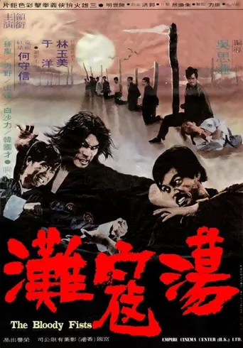 荡寇滩海报