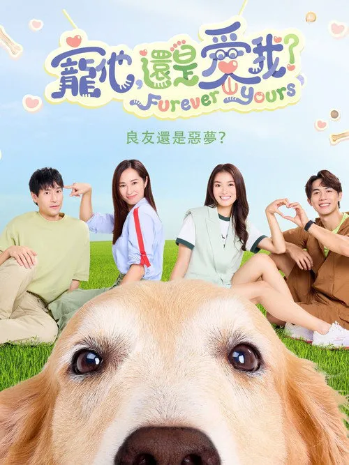 宠他,还是爱我?海报