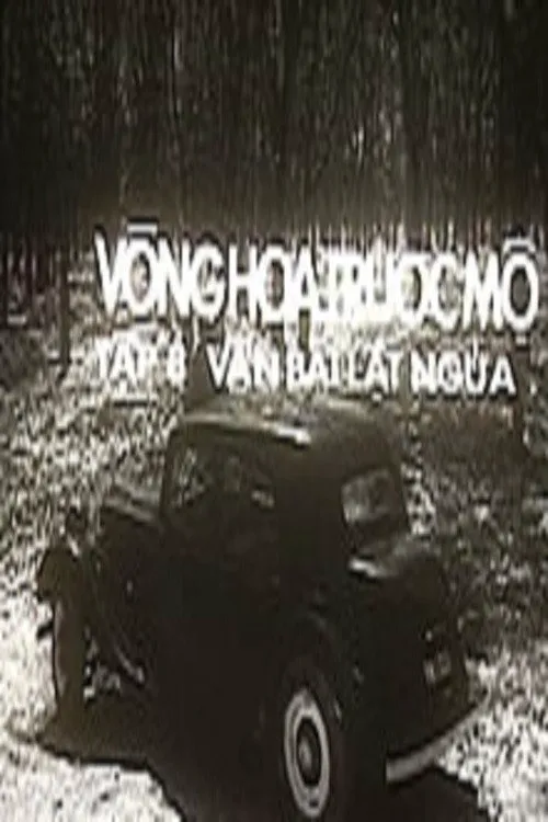Ván bài lật ngửa 8: Vòng hoa trước mộ海报