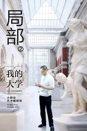 局部 第 2 季海报
