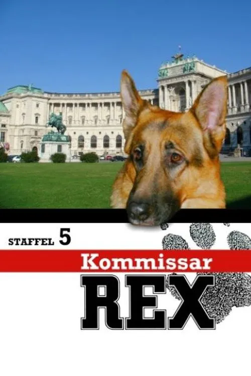 Kommissar Rex 第 5 季海报