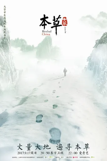 本草中华海报