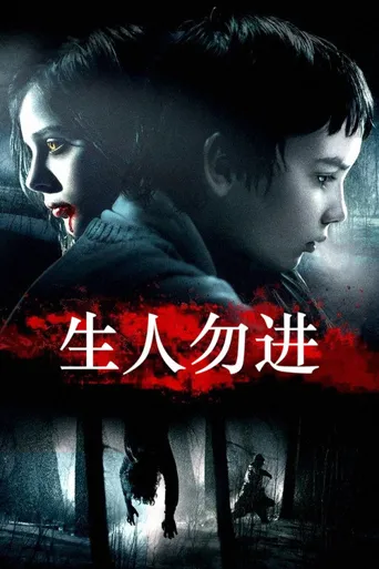 生人勿进海报