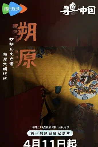 寻色中国海报