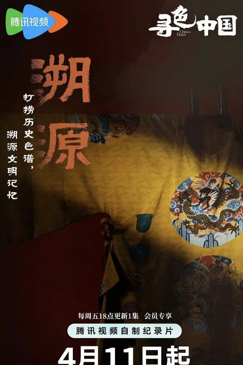 寻色中国海报