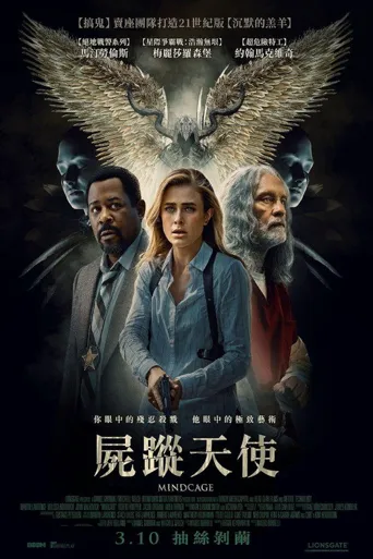 心之牢笼海报