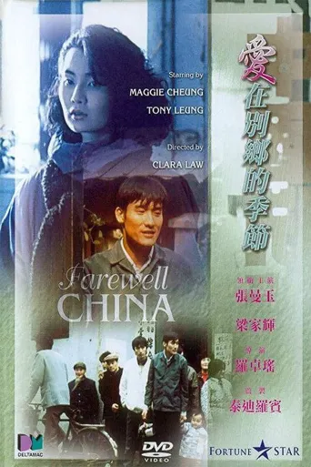 爱在别乡的季节海报