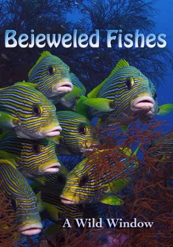 Wild Window: Bejeweled Fishes海报
