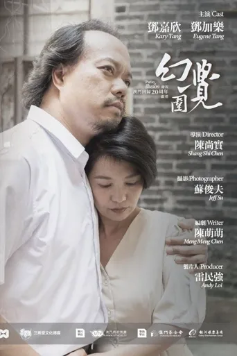 何以飞翔海报
