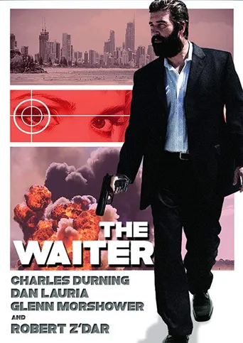 The Waiter海报