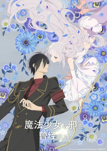魔法少女与恶曾是敌人。海报