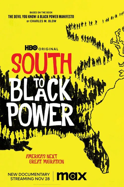 South to Black Power海报
