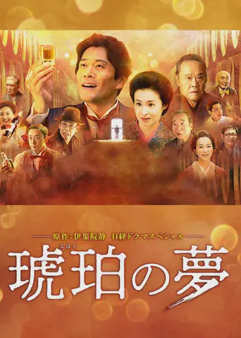 琥珀之梦海报