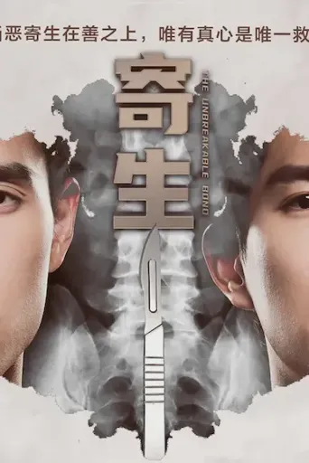 寄生海报
