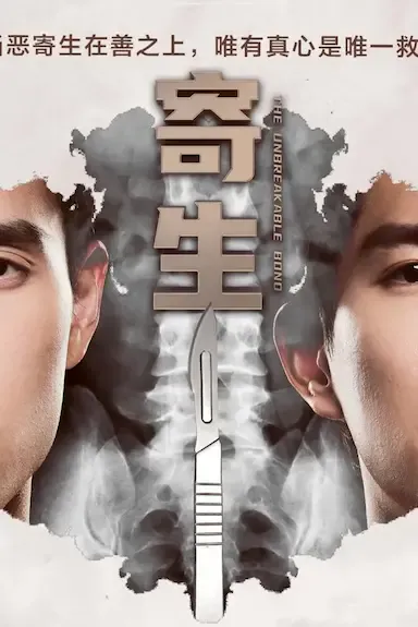 寄生海报