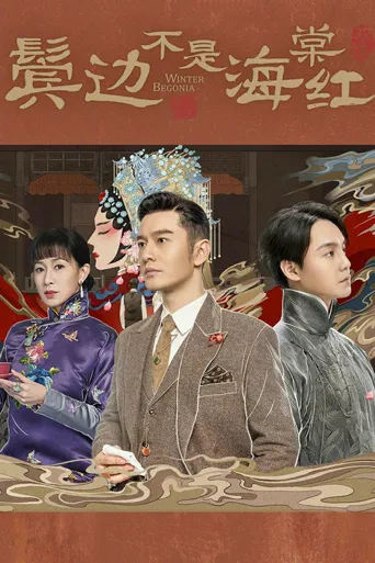 鬓边不是海棠红海报