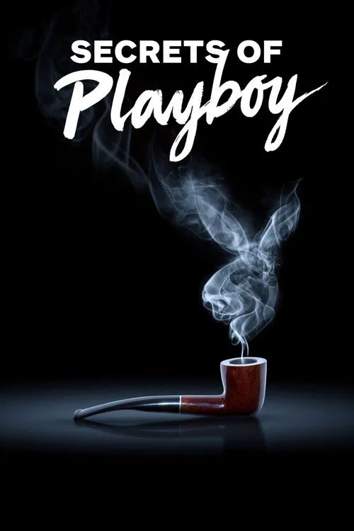 花花公子的秘密 第 1 季海报