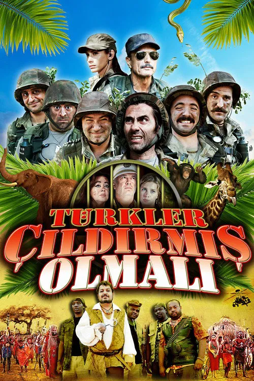 Türkler Çıldırmış Olmalı海报