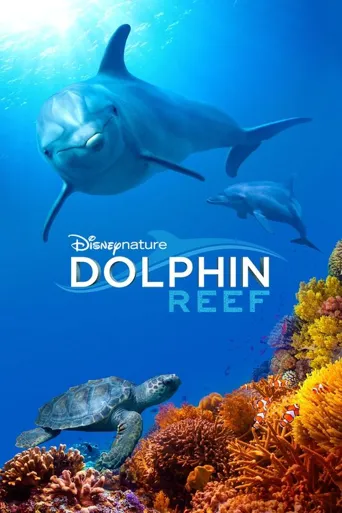 海豚礁海报