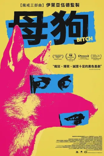 母狗海报