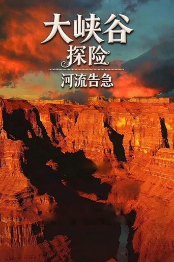 大峡谷探险之河流告急海报