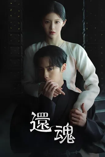 还魂2：光与影海报