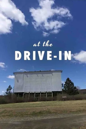At the Drive-In海报