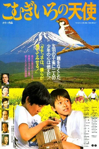 栗色小天使海报