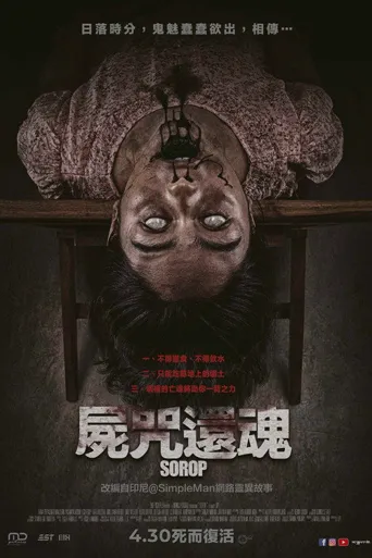 摄魂老宅海报