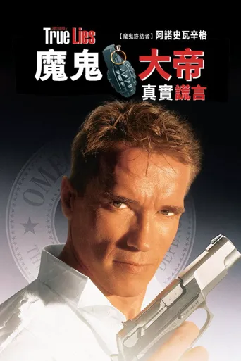 真实的谎言海报