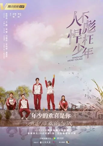 人不彪悍枉少年海报
