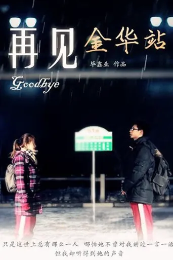 再见金华站海报