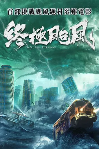 终极台风海报