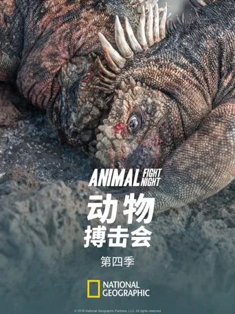 动物搏击会 第 4 季海报