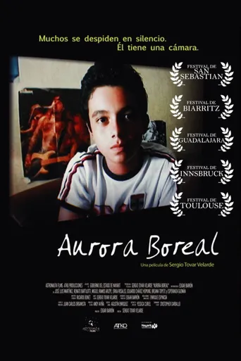 Aurora boreal海报